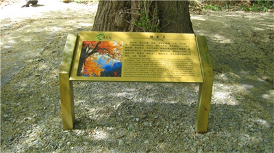 景區標識的作用